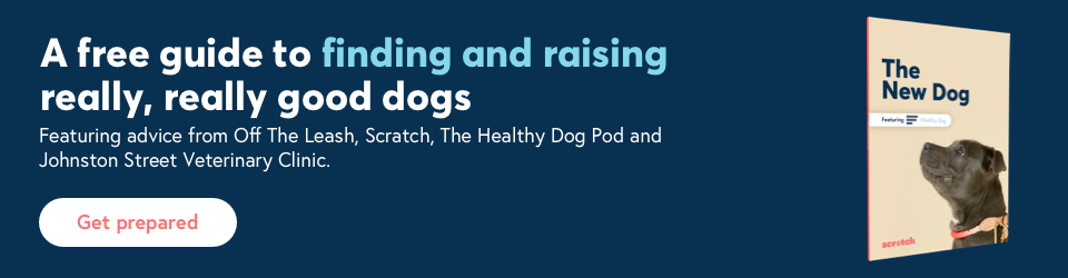 Getting a Dog