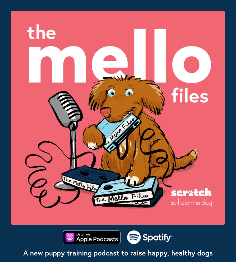 Puppy training podcast