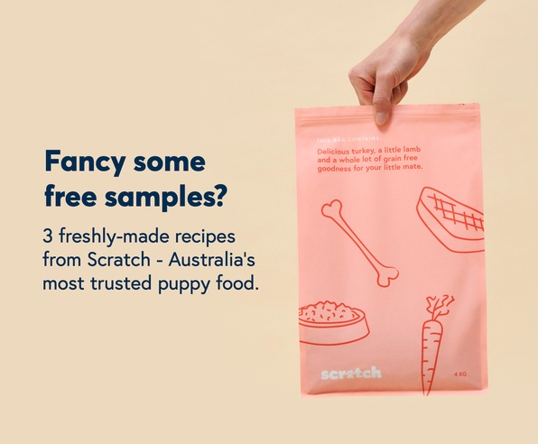 Dog Food Samples