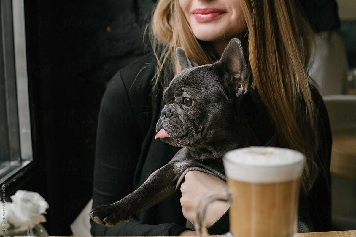 Dog-Friendly Cafe's Frenchy