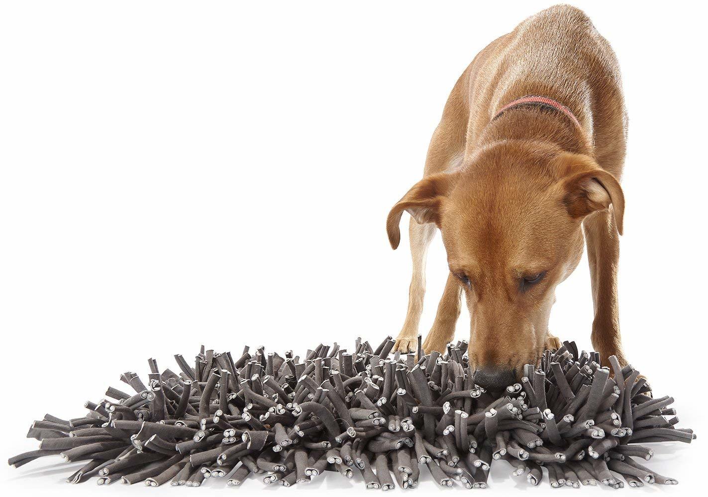 Pet Snuffle Mat & Slow Feeder Bowl