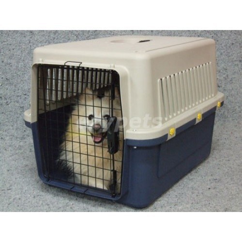 best home dog crate