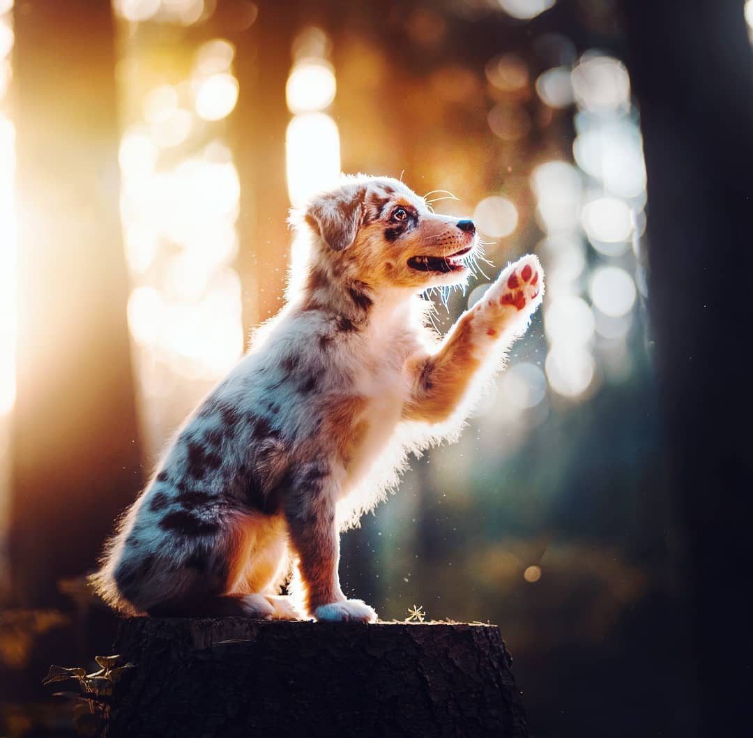 Kristýna Kvapilová