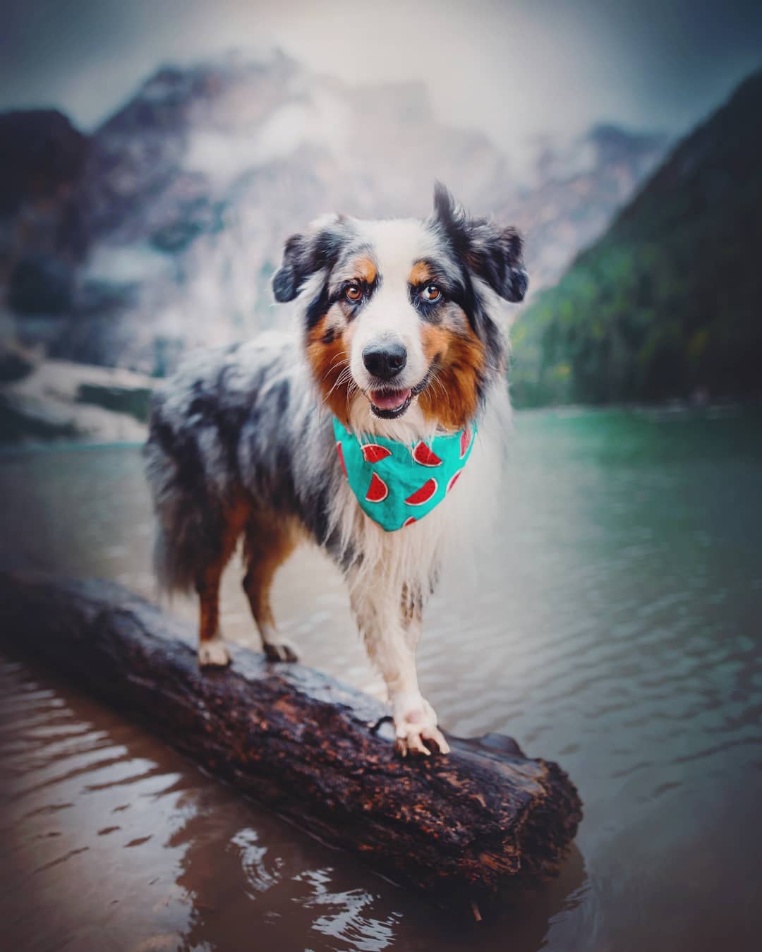 Kristýna Kvapilová