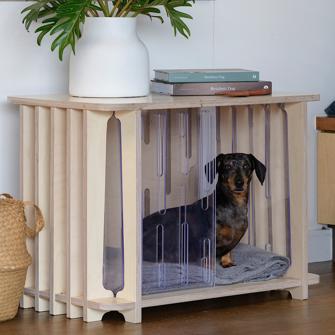 Paws Room Dog Crate