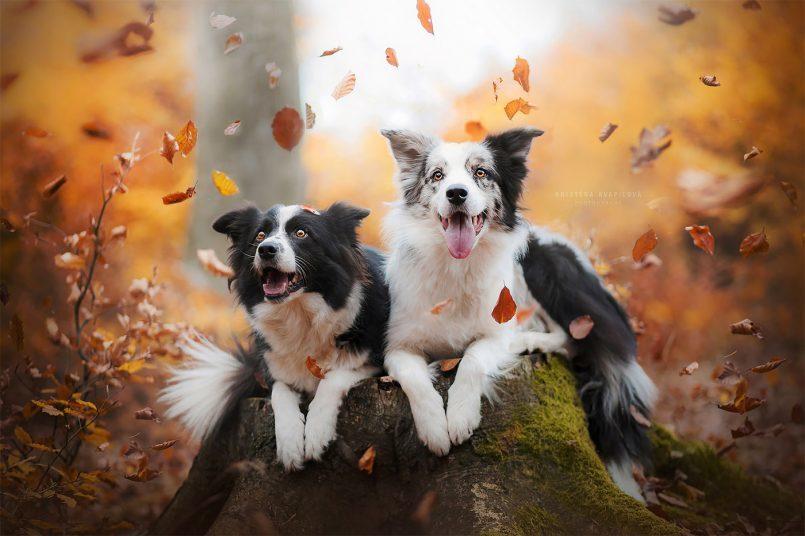 Kristýna Kvapilová