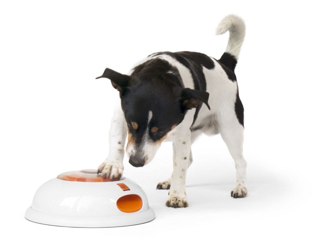 Slow Feeding Bowl Game