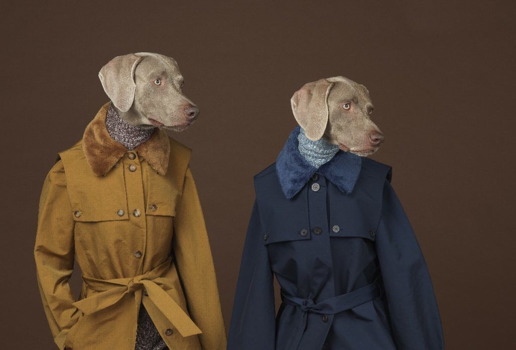 William Wegman