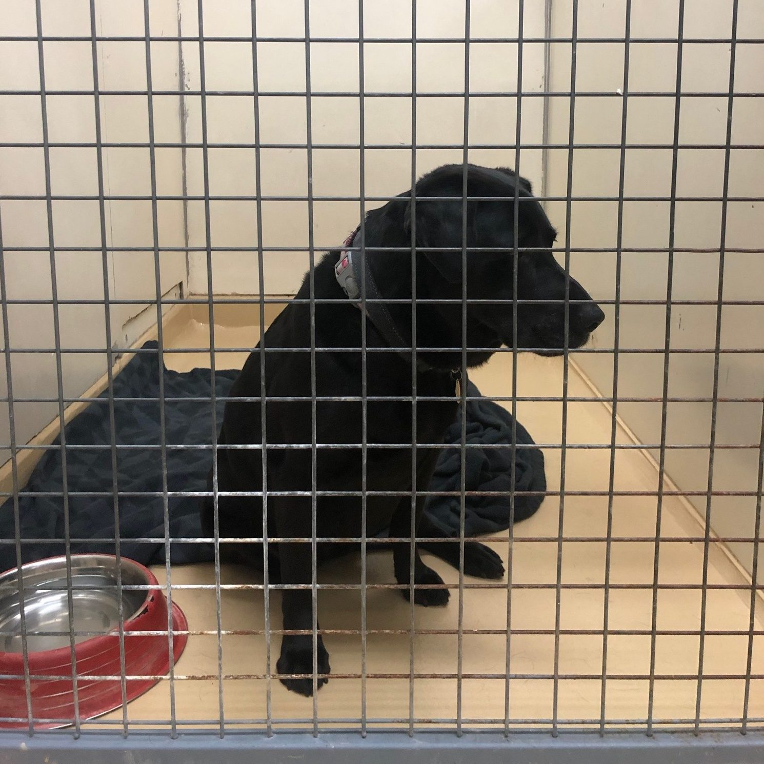 My first sight of Navi