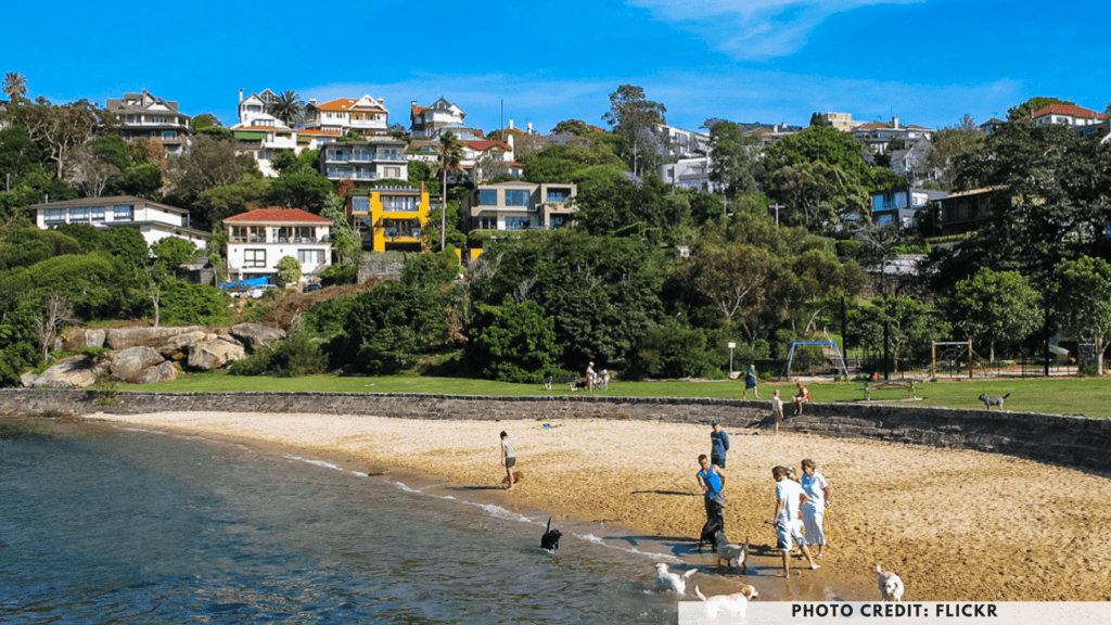 The Best Sydney Dog Beaches to Explore this Summer 🐶 Off The Leash