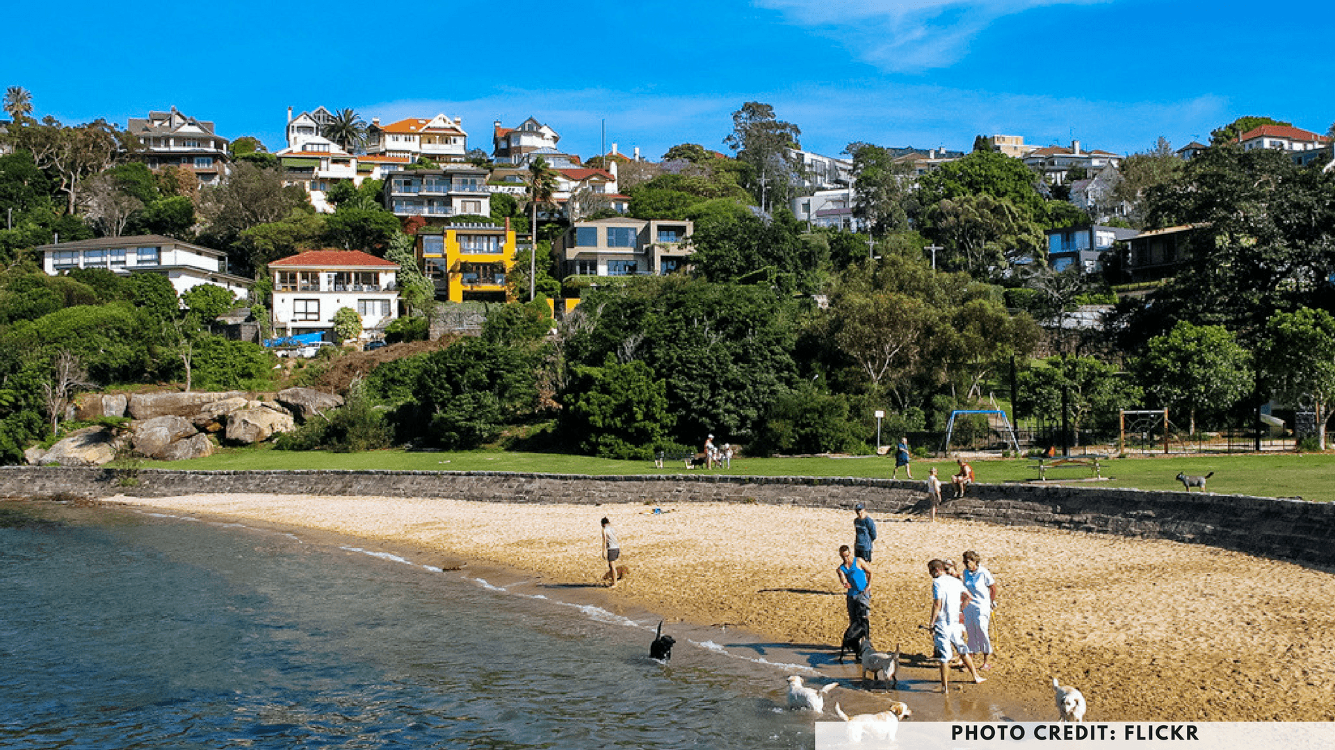 Sirius Cover, sydney dog beaches