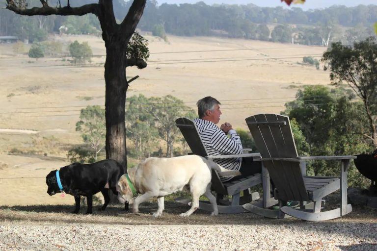 The Best Dogfriendly Airbnbs in Victoria 🐶 Off The Leash