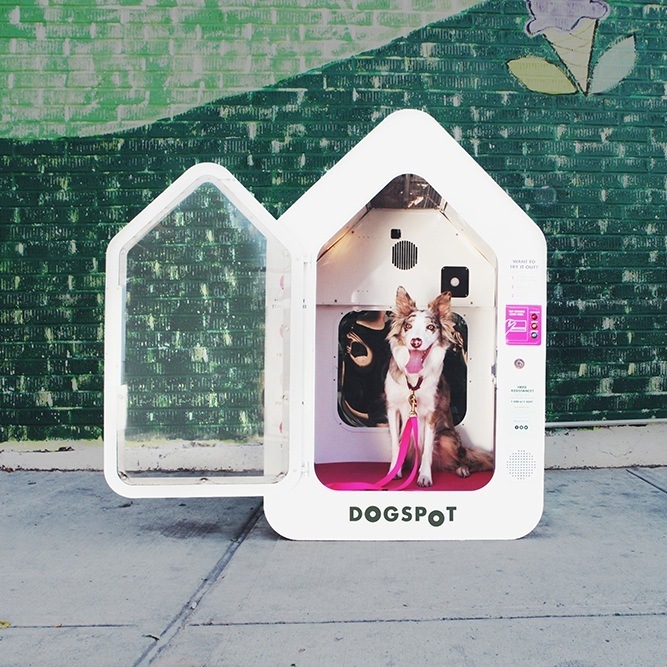 Dog-friendly rules.