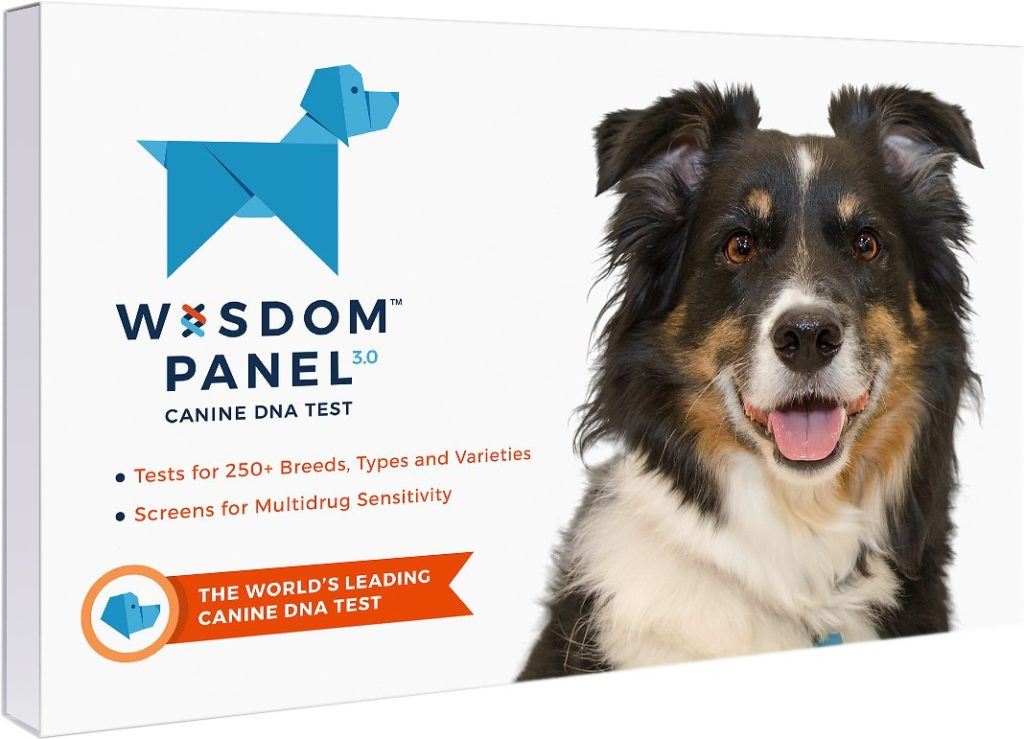 DNA testing for dogs