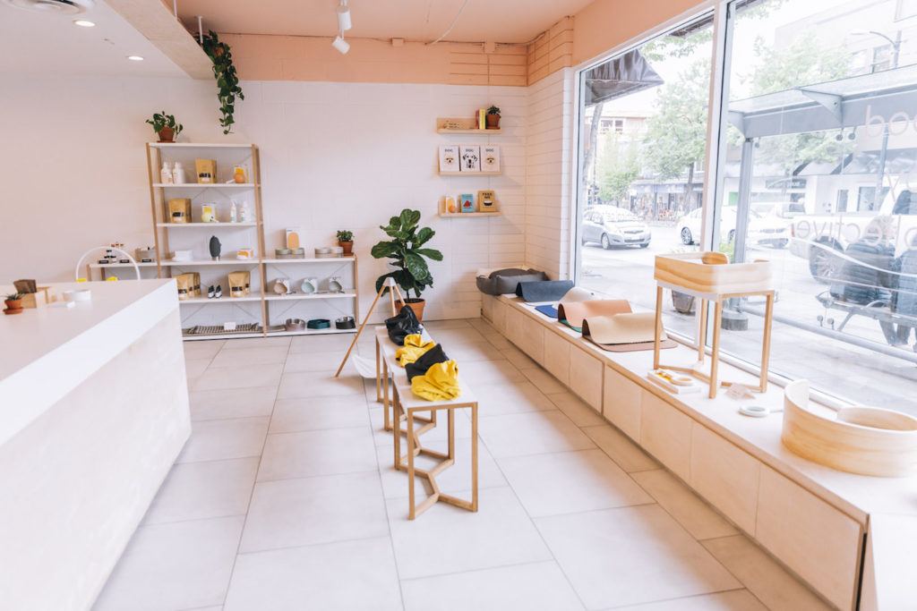 best dog stores