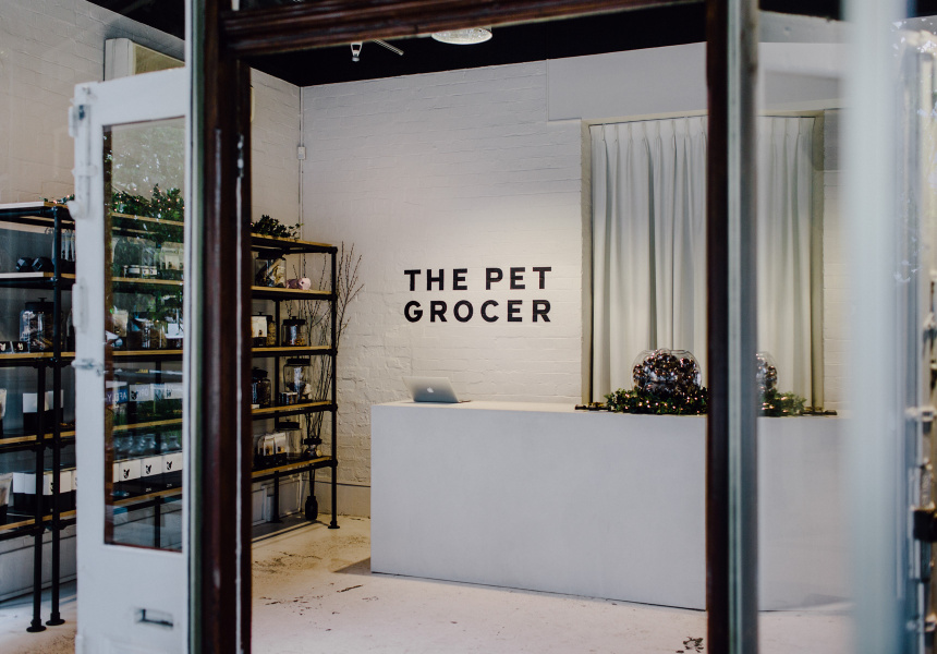 best dog stores