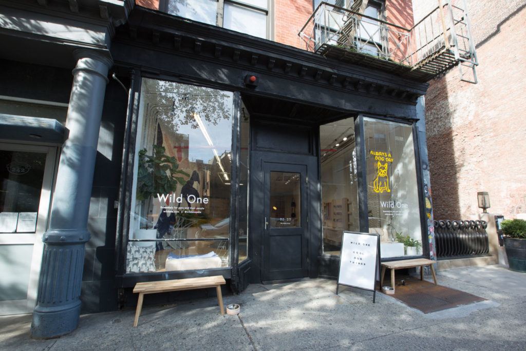best dog stores