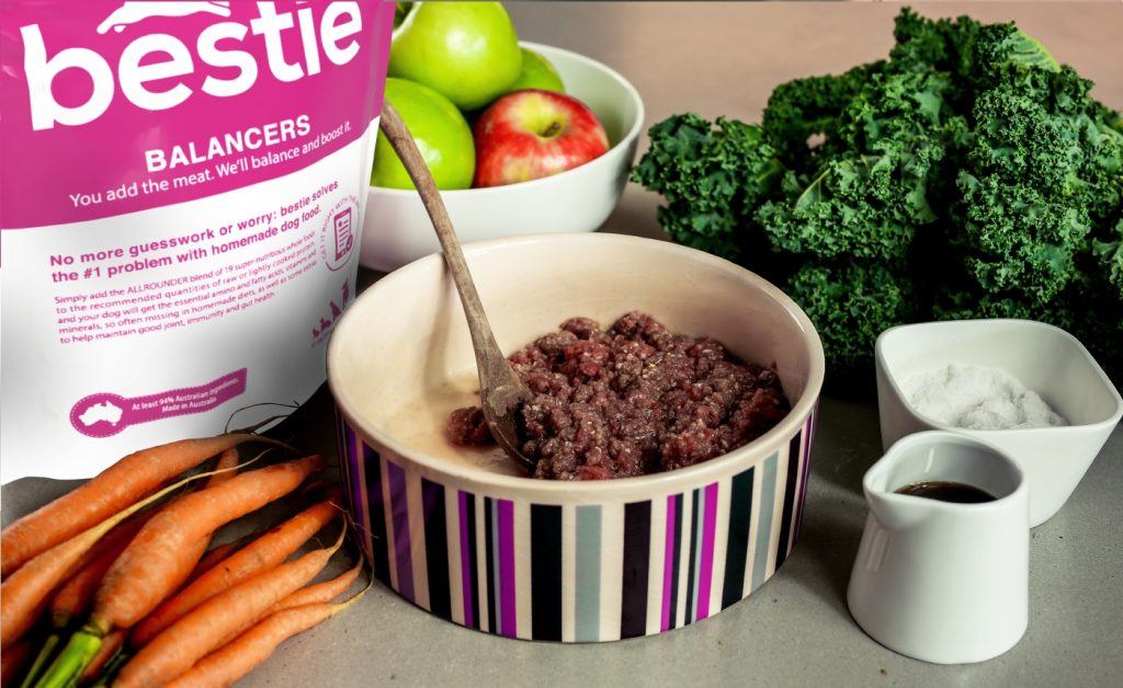 How to Create a Balanced Raw Dog Food Diet 🐶 Off The Leash