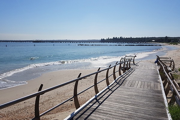Silver beach dog friendly
