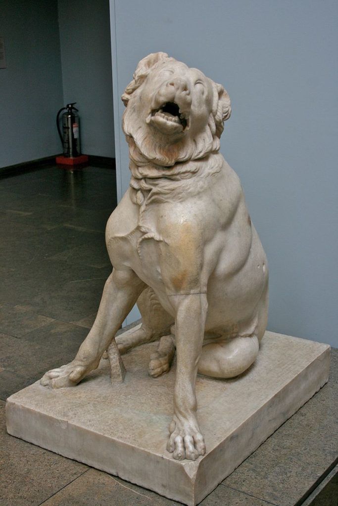 A Short History Of Extinct Dog Breeds Off The Leash A Short History Of Extinct Dog Breeds Off The Leash