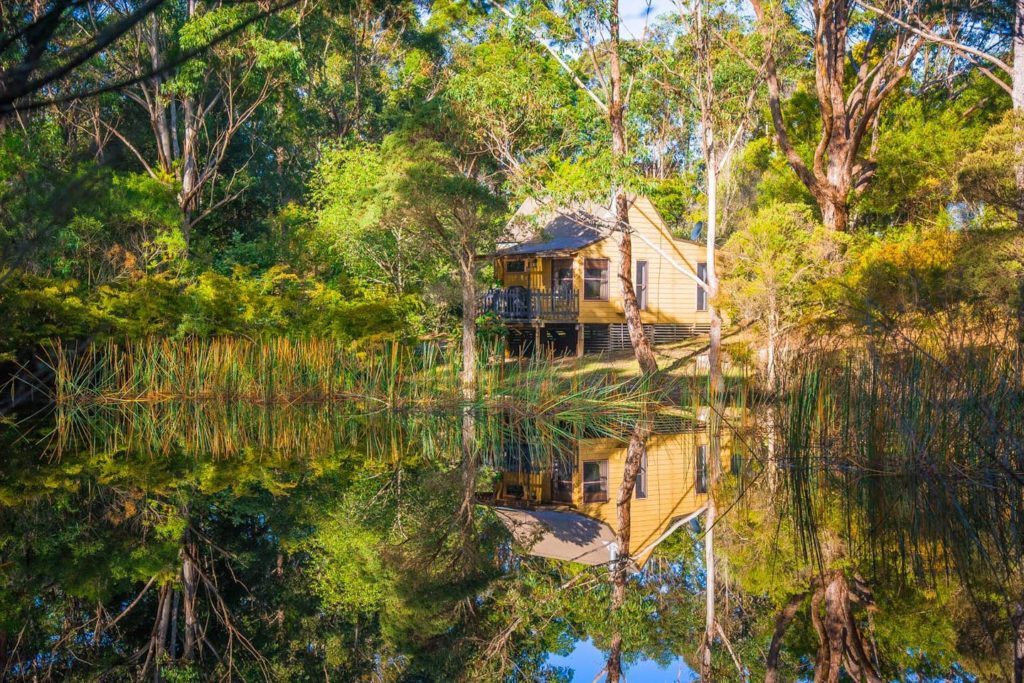 dog-friendly Airbnbs