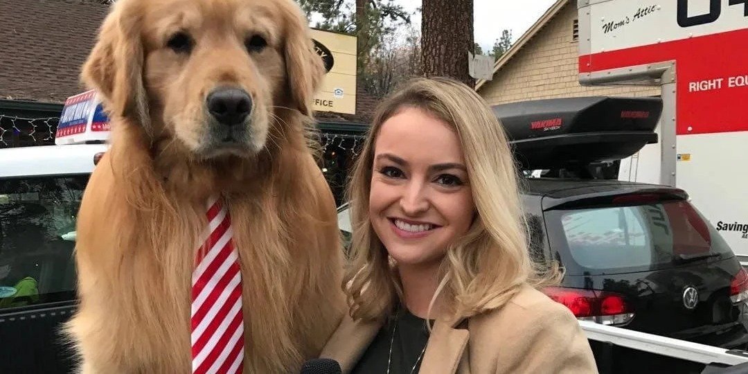 An Intro to the Best of Dog Reddit 🐶 Off The Leash