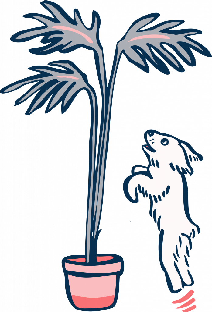 dog friendly plants