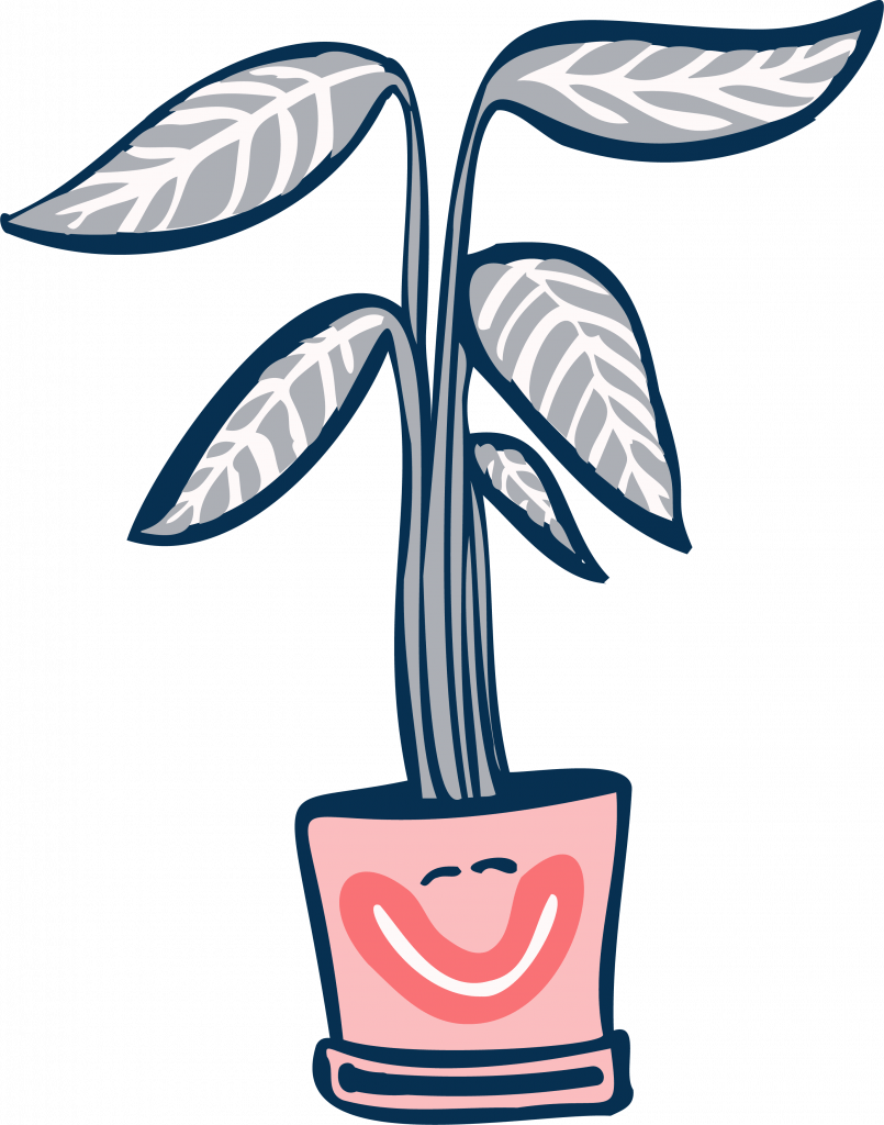 dog friendly plants