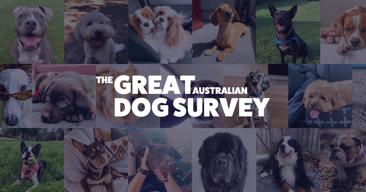 Take the Great Australian Dog Survey 🐶 Off The Leash