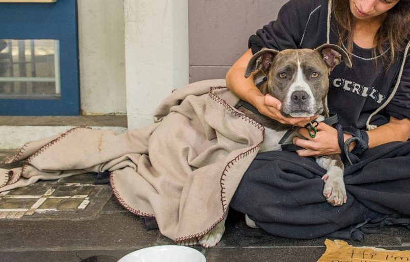 Pets of the Homeless Support Those in Need 🐶 Off The Leash