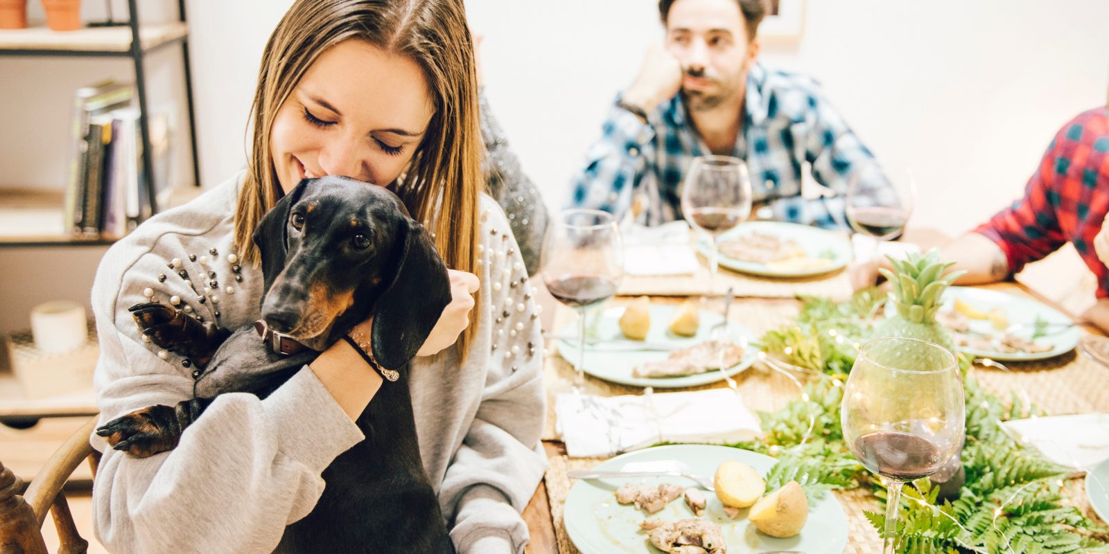 Is Homemade Dog Food Better than Store Bought? 🐶 Off The Leash