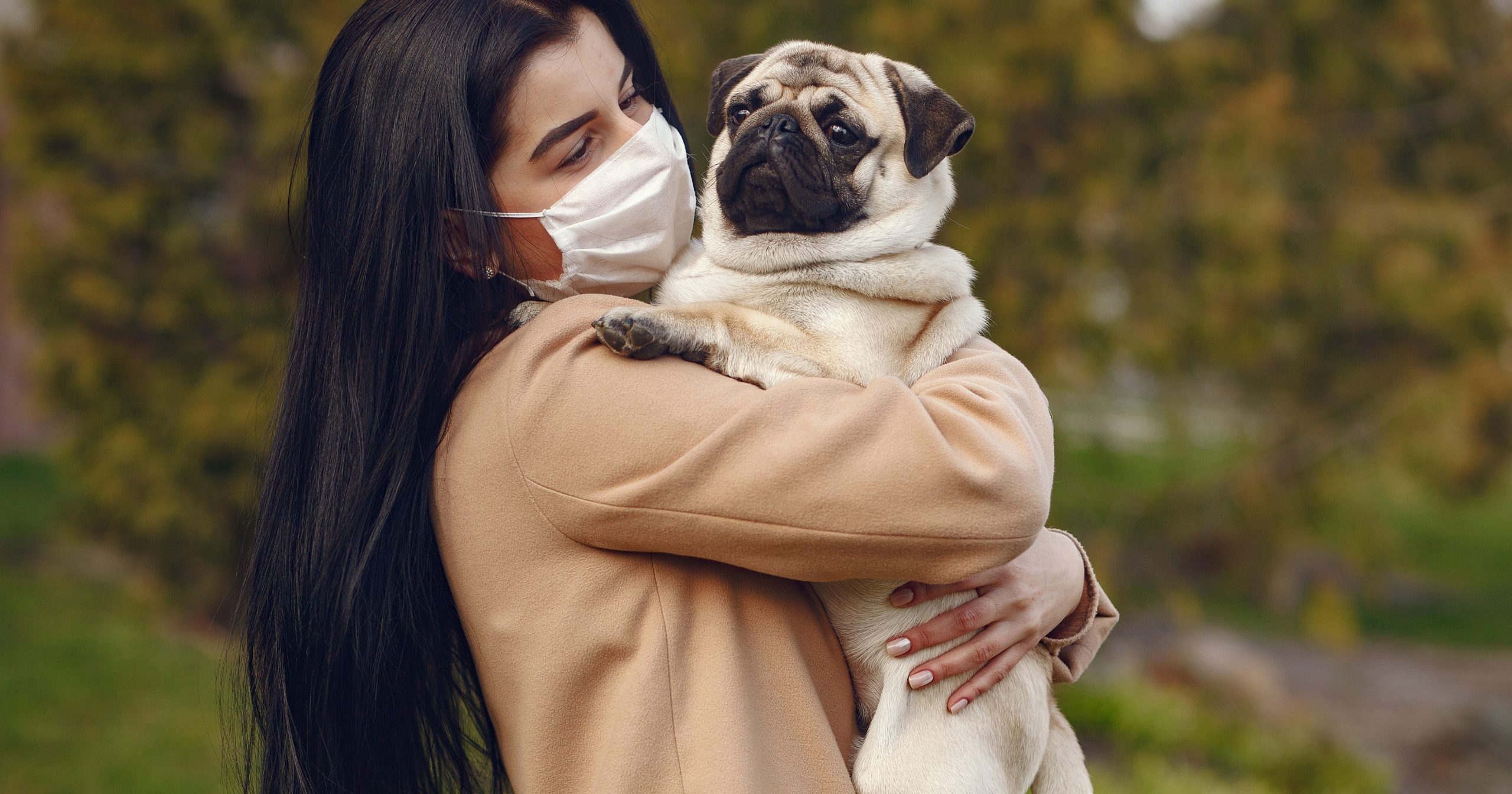Dogs and Face Masks Helping Pets Feel Comfortable 🐶 Off The Leash