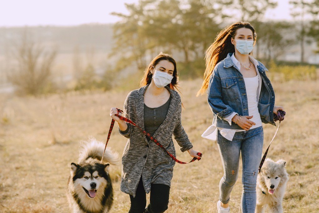 dogs and masks