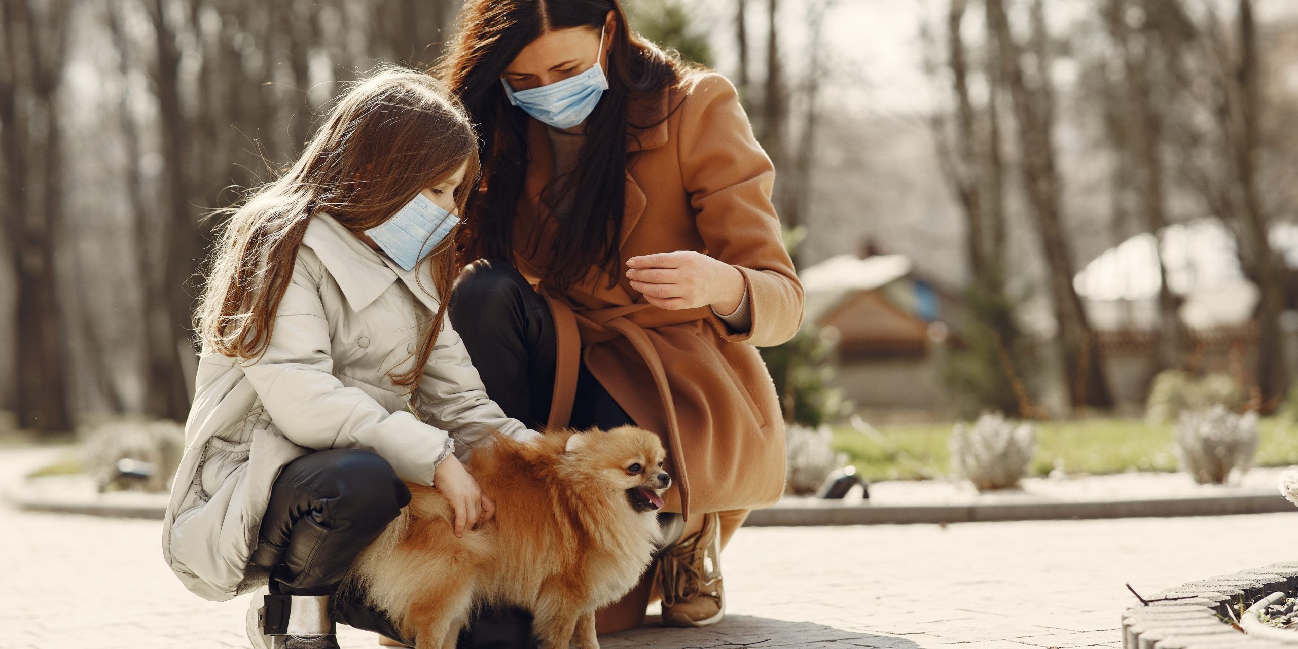 dogs and face masks