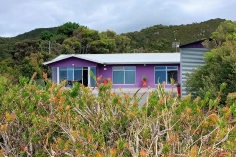 The Best Dogfriendly Airbnbs in Tasmania 🐶 Off The Leash