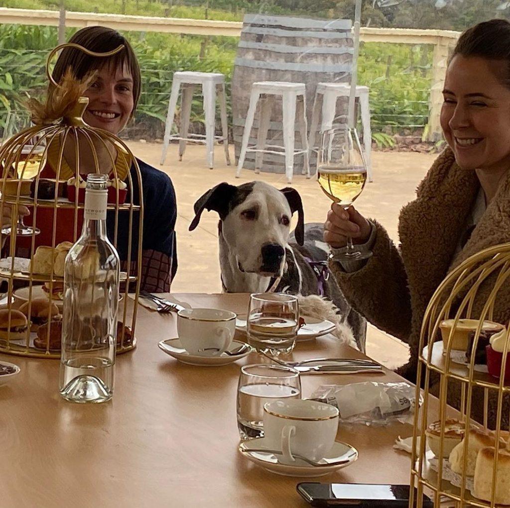 dog-friendly cafe's