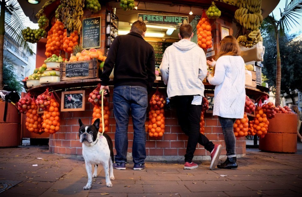 These Are the World’s Most Dog Friendly Cities 🐶 Off The Leash